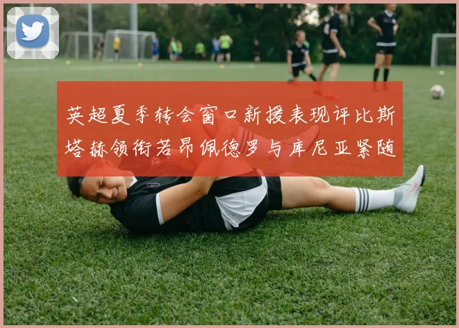 英超夏季转会窗口新援表现评比斯塔赫领衔若昂佩德罗与库尼亚紧随其后