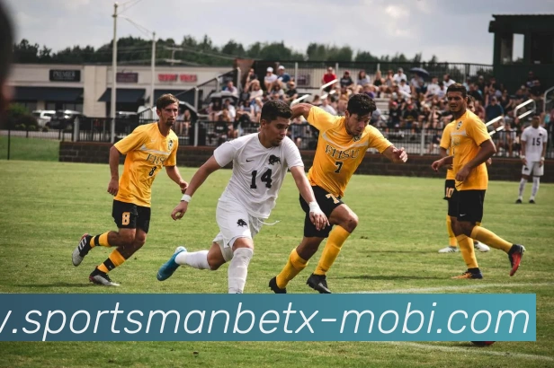 万博体育APP 体育赛事宣传图